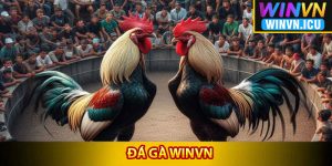 Tổng quát kiến thức chung về đá gà Winvn
